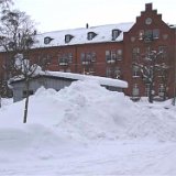 sno2010